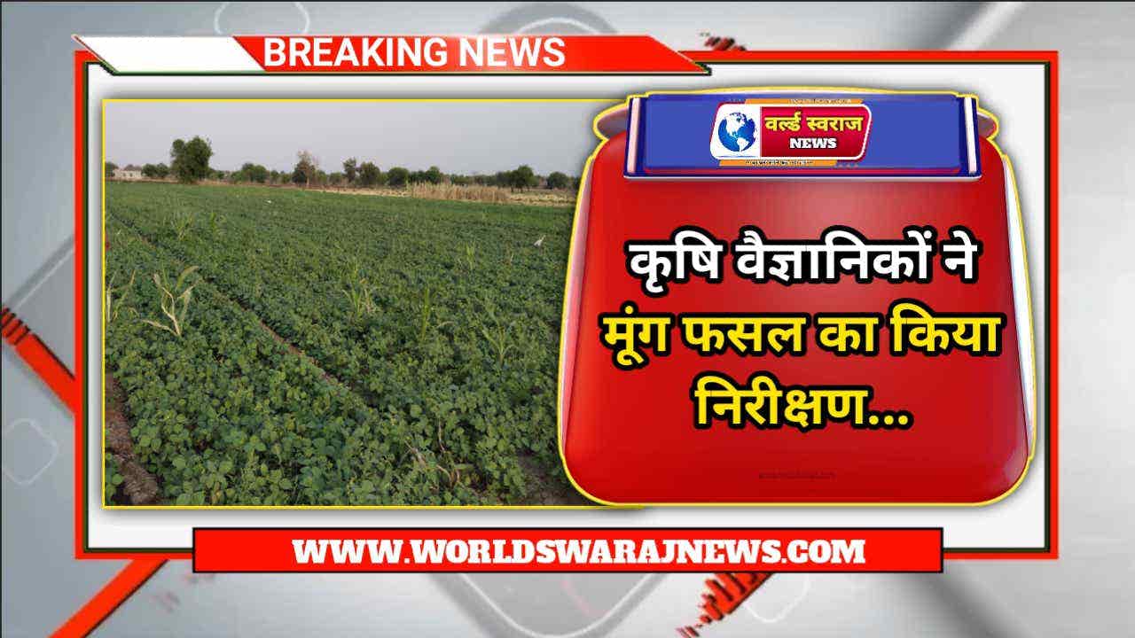 DocScanner Apr 26 2024 12 54 PM 1