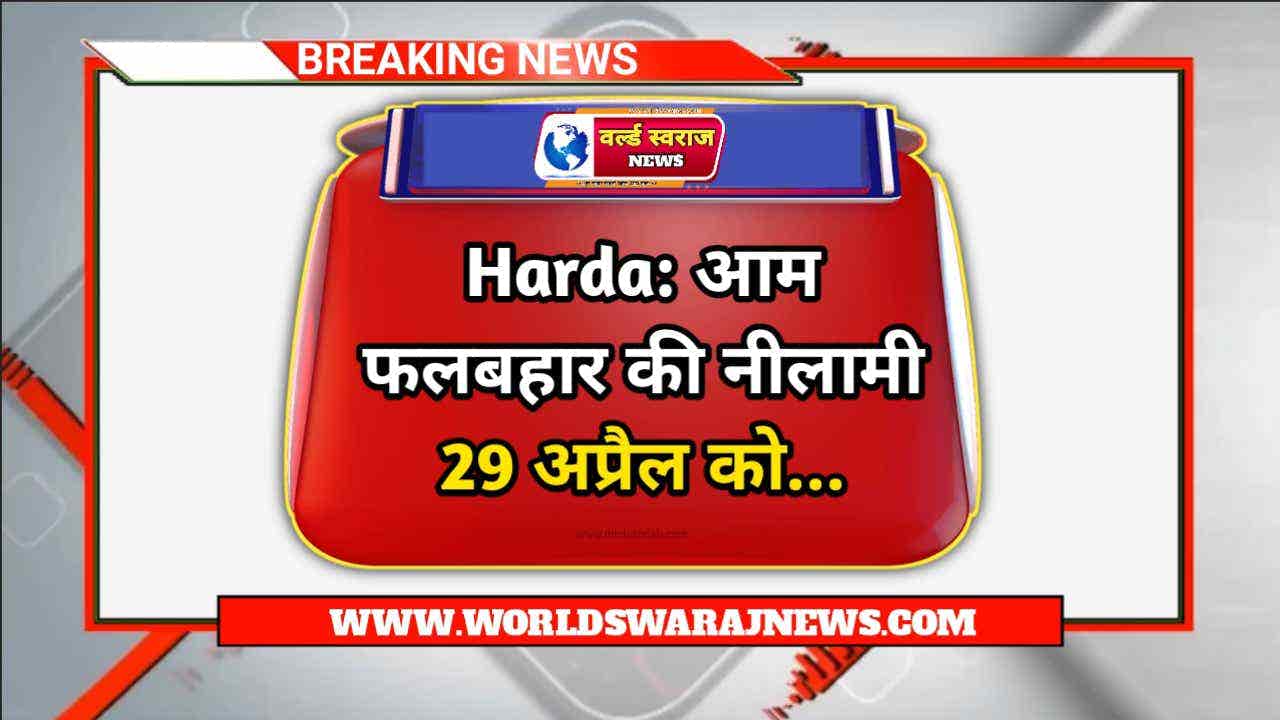 DocScanner Apr 26 2024 7 44 PM 2