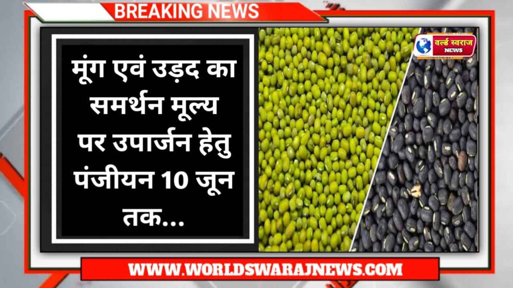 DocScanner Jun 7 2024 10 04 AM 5