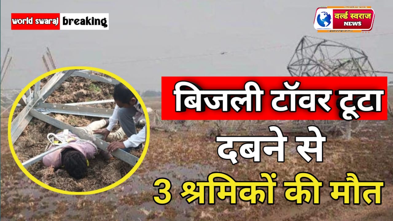 मजदूरों पर गिरा बिजली टावर,3 की मौत, 6 गंभीर रूप से घायल 1 IMG 20241227 WA0002 1