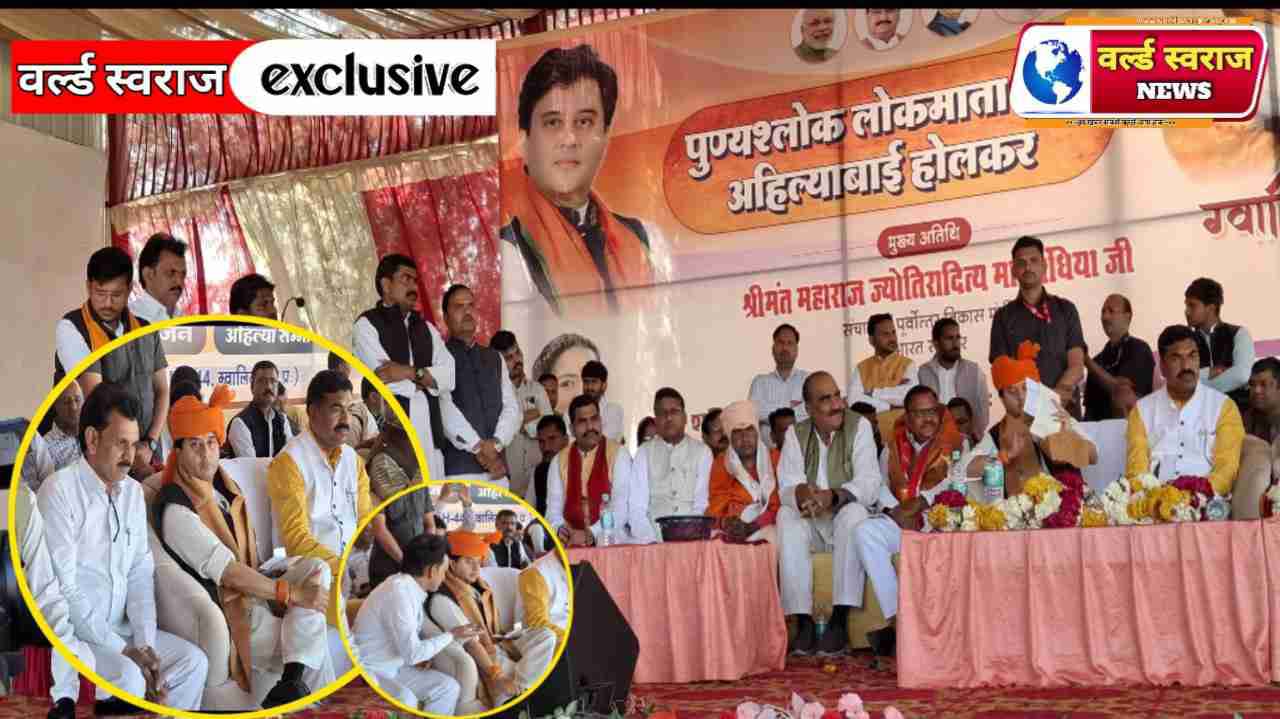 IMG 20250222 WA06141