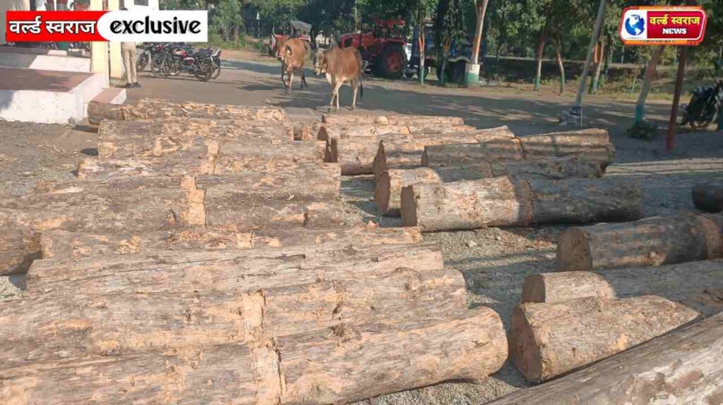 हंडिया पुलिस की बड़ी कामयाबी,10 लाख मूल्य की अवैध सागौन सहित आईसर वाहन जब्त ! 2 Q 1762668483