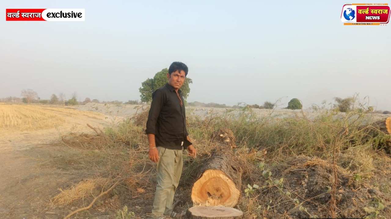 कन्नौद के पास बागनखेडा मे फोर लेन सडक निर्माण कंपनी ने काट दिये हरे भरे पेड .ग्रामीण किसानो ने कन्नौद एसडीएम कार्यालय तथा पुलिस थाना पर दिया आवेदन 1 Q 1775825484